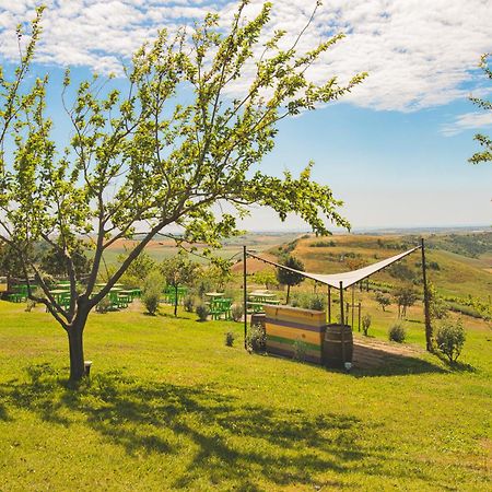 Vila Casale Poggio Nebbia Tarquinia Exteriér fotografie