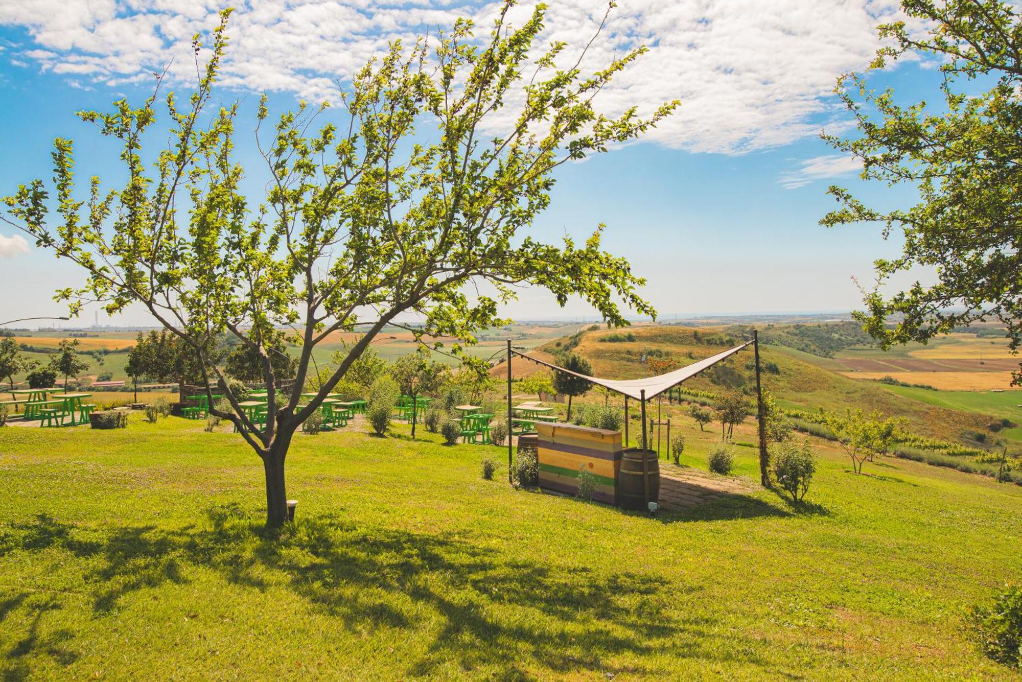 Vila Casale Poggio Nebbia Tarquinia Exteriér fotografie